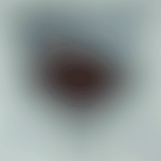 SASHA AND THE LUNATICS